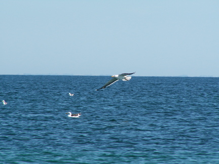 20070810 145609